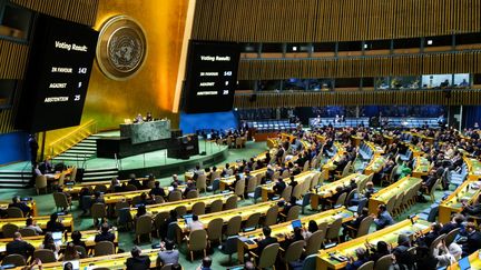 L'Assemblée générale de l'ONU, à New York (Etats-Unis), le 10 mai 2024. (CHARLY TRIBALLEAU / AFP)