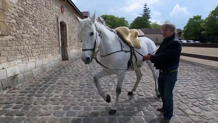 Mario Luraschi avec Quijote (France 3 Picardie / E. Ramirez)