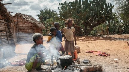 Certaines familles affamées sont contraintes de se nourrir de criquets, d'argile et de feuilles de cactus, car la plante ne donne plus de fruit, le principal aliment de cette région.&nbsp; &nbsp; (RIJASOLO/AFP)