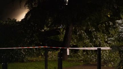 Dans le XIXe arrondissement de Paris, un homme a été tué par la chute d'un arbre, à la suite des intempéries.