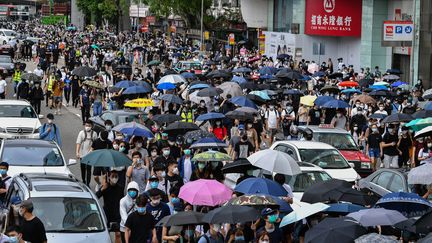 Des manifestants à Hong Kong, le 24 mai 2020. (ANTHONY WALLACE / AFP)