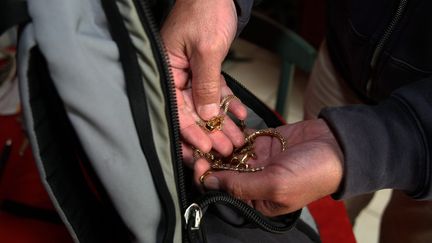 Un trio de voleurs est reparti avec 50 000 euros de bijoux, dérobés chez Anne-Marie, une retraitée de 83 ans (photo d'illustration). (CHRISTIAN LANTENOIS / MAXPPP)