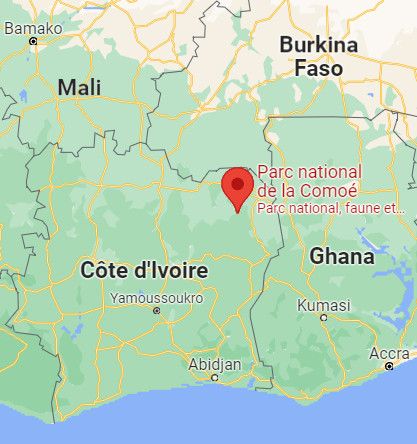 La Côte d'Ivoire, pays d'Afrique de l'Ouest qui partage des frontières au Nord avec le Mali et le Burkina Faso.
 (GOOGLE MAPS)