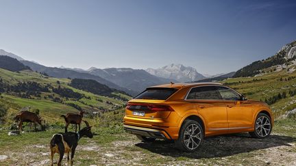 Un SUV sportif taillé pour l'aventure. (AUDI pour FRANCE INFO)