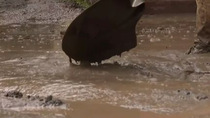 Le village de Sauvagnat-Sainte-Marthe, dans le Puy-de-Dôme, a été traversé par une impressionnante coulée de boue dans la nuit du dimanche au lundi 28 juin. De&nbsp;fortes précipitations et la grêle a également frappé le village. L'heure est désormais au nettoyage. (CAPTURE ECRAN FRANCE 3)