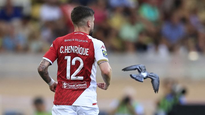 Un pigeon s'envole à côté de Caio Henrique durant le match entre Monaco et Strasbourg, le 20 août 2023 (VALERY HACHE / AFP)