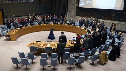 Le Conseil de sécurité observe une minute de silence au siège de l'ONU à New York, aux Etats-Unis, , le 10 novembre 2023. (TIMOTHY A. CLARY / AFP)