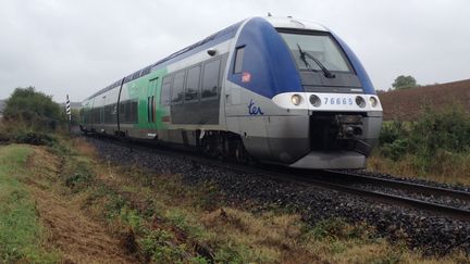 Le conducteur du train qui a mortellement percuté une adolescente dimanche 3 mars en Meurthe-et-Moselle a été mis hors de cause (photo d'illustration). (EMMANUEL MOREAU / FRANCE-BLEU PAYS D’AUVERGNE)