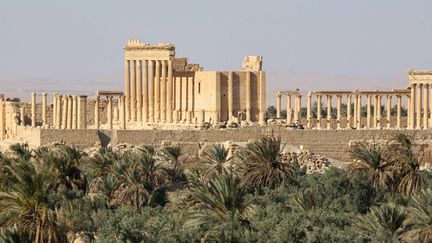 La cité antique de Palmyre en 2009
 (Zuma Press / MaxPPP)