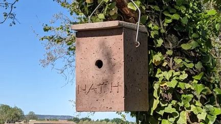 Nichoir en béton de bois à mésanges. (Nat'H)