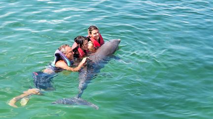 Une famille de touristes nage avec un dauphin à&nbsp;Santa Maria Key (Cuba). (ROBERTO MACHADO NOA / LIGHTROCKET)