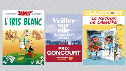 Astérix, Lagaffe et le Goucourt au Top 3 des ventes livres 2023 (DR)