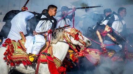 à des niveaux sportifs très élevés, comme ceux participant au trophée Hassan II des arts équestres traditionnels. (Pascale et Franck Perrin-Thoraval )