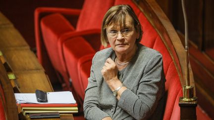 La députée Marie-George Buffet, le 18 octobre 2017. (FRÉDÉRIC DUGIT / MAXPPP)