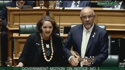 Lors d'une séance au Parlement à Wellington, Nouvelle-Zelande, deux députés se sont exprimés en chanson le 16 décembre 2016.&nbsp; (NZHERALD / YOUTUBE)