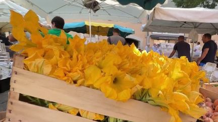 Alpes-Maritimes : au marché de Saint-Cézaire-sur-Siagne, la Provence à l'honneur dans les étals (France 2)