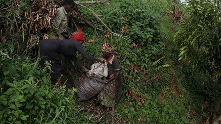 «le problème le plus grave auquel sont confrontés les Pygmées est la non-reconnaissance de leurs droits territoriaux de chasseurs-cueilleurs auquel s’ajoute le déni de leur statut de peuple indigène dans de nombreux pays africains. Sans droits reconnus au niveau national sur les forêts dont ils dépendent, des étrangers ou l’Etat peuvent mettre la main sur leurs terres sans barrière légale et sans leur verser de compensation.» (Therese Di Campo/Reuters)