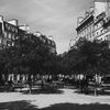 Place Dauphine, à proximité du Palais de Justice de Paris. (DAVID FRITZ-GOEPPINGER POUR FRANCEINFO)