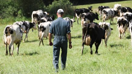 Le prix du lait a augmenté de plus de 50% en 20 ans et les agriculteurs n'en voient pas la couleur. Photo d'illustration. (LIONEL LE SAUX / MAXPPP)