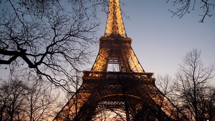 La Tour Eiffel illumin&eacute;e, le 29 mars 2014, &agrave; Paris.&nbsp; (MANUEL COHEN / AFP)