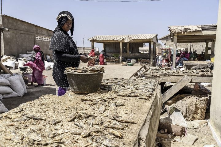 Le marché aux poissons de Rufisque près de Dakar au Sénégal, est quasi désert en cette période d'épidémie. Photo prise le 9 avril 2020. (SEYLLOU / AFP)