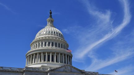 Le dôme&nbsp;du Capitole à Washington (Etats-Unis), le 27 mars 2019. (MANDEL NGAN / AFP)