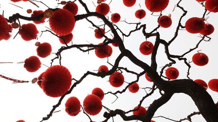 Un arbre est d&eacute;cor&eacute; de lanternes rouges pour c&eacute;l&eacute;brer le Nouvel an chinois &agrave; P&eacute;kin (Chine), le 20 janvier 2012. (JASON LEE / REUTERS)