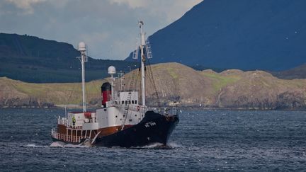 L'Islance réautorise la chasse à la baleine sous conditions. Photo du navire Hvalur 9, de la compagnie du même nom, la dernière en Islande à pratiquer cette pêche, transportant une baleine vers l'usine de traitement de Hvalfjordur, près de Reykjavik, le 24 juin 2022. (HALLDOR KOLBEINS / AFP)