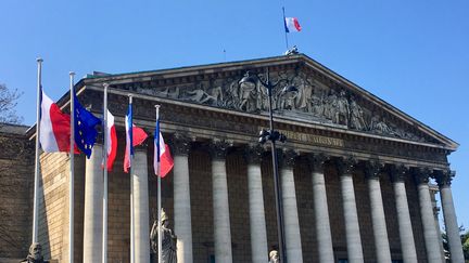 L'Assemblée nationale à Paris. (NOÉMIE BONNIN / FRANCE-INFO / RADIOFRANCE)