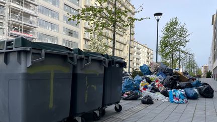 Les poubelles débordent à Rennes. (CELINE GUETAZ / FRANCE BLEU ARMORIQUE / RADIO FRANCE)