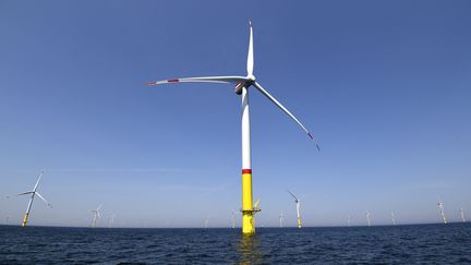 Des éoliennes installées en mer Baltique, au Nord de l'Allemagne. (TOBIAS SCHWARZ / AFP)