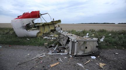 Des d&eacute;bris de l'appareil ont m&ecirc;me &eacute;t&eacute; retrouv&eacute;s dans un village &agrave; dix kilom&egrave;tres, expliquent des habitants. (DOMINIQUE FAGET / AFP)