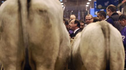 Le 28 f&eacute;vrier 2012, Paris. En visite au Salon de l'agriculture porte de Versailles. (REUTERS)