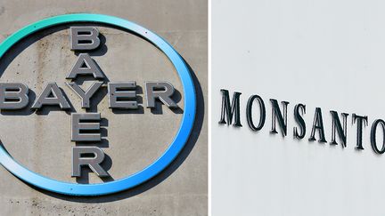 Bayer rachète Monsanto (PATRIK STOLLARZ / AFP)