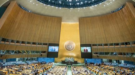 L'assemblée générale de l'ONU, à New York (Etats-Unis), le 20 septembre 2022. (MICHAEL KAPPELER / DPA / AFP)