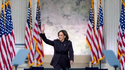 Kamala Harris, candidate démocrate à l'élection présidentielle de 2024, à Washington (Etats-Unis), le 6 novembre 2024. (KENT NISHIMURA / GETTY IMAGES NORTH AMERICA / AFP)