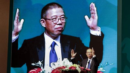 Zhong Shanshan pendant un discours lors d'une conférence de presse à Pékin, le 6 mai 2013. (STR / CNS / AFP)