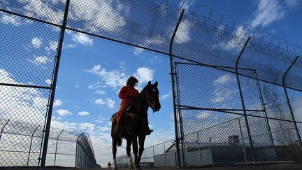 dans l’une des deux prisons de Florence (à 225 km de la frontière mexicaine), le plus prisé est celui qui permet de participer au WHIP (Wild Horse Inmate Program). Ce programme a été mis en place en 2012 pour apprendre aux prisonniers à débourrer les mustangs (amener des chevaux sauvages à accepter une selle puis un cavalier), bref à recevoir leur premier dressage.  (Mike Blake / Reuters)