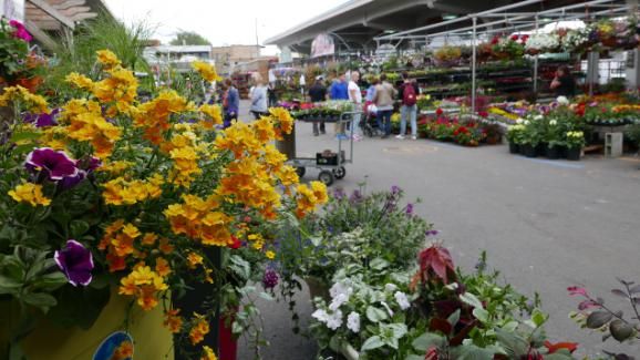 Explosion de couleurs et de senteurs au marché Jean-Talon (Photo Emmanuel Langlois)