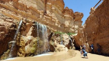 Oasis de Tamerza, dans le sud-ouest de la Tunisie. (AFP)