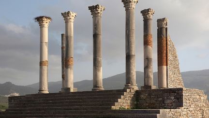 A la fin du XVIIe siècle, le sultan marocain Moulay Ismaïl aurait envoyé des milliers d'esclaves s'emparer du marbre et de colonnes de la cité antique pour la construction de son palais de Meknès, à 30 kilomètres de là. (MANUEL COHEN/AFP)