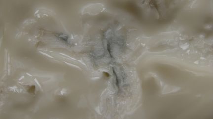 Image d'illustration de gorgonzola. (BLUEBERRY / TIPS / AFP)