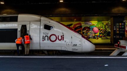 La grève est levée à la SNCF. Tous les syndicats y ont renoncé durant le cours de l'après-midi du jeudi 16 décembre. (DANA TENTEA / HANS LUCAS / AFP)