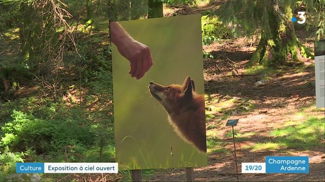 "les sentiers de la photo", une exposition à ciel ouvert dans les Vosges