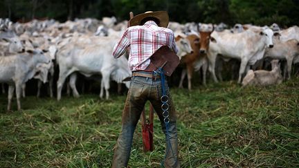 sur les problèmes écologiques sont primordiaux, le sort de certaines tribus d’Indiens d’Amazonie reste préoccupant. Les bûcherons clandestins, les éleveurs et les colons brésiliens représentent une menace pour leur survie. Assassinats, vols de leurs terres et déplacement de leurs villages restent toujours d’actualité. (Reuters/Nacho Doce)