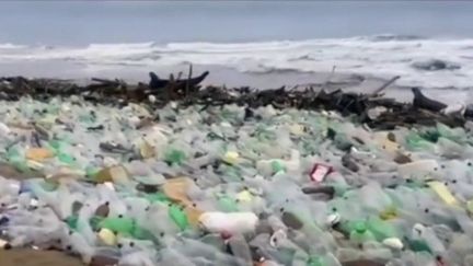 Plastique, le calvaire des océans