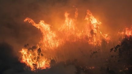 De violents incendies près de Bairnsdale, dans l'Etat de Victoria (Australie), le 31 décembre 2019.&nbsp; (HANDOUT / STATE GOVERNMENT OF VICTORIA / AFP)