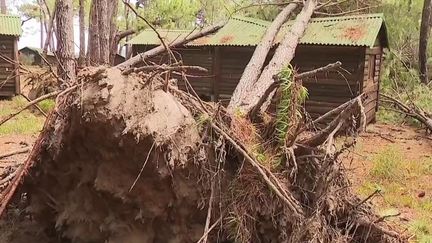 Corse : l'île endeuillée suite à un orage meurtrier (FRANCE 3)