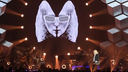 Michel Polnareff sur scène (ici à Epernay le 30 avril 2016)
 (BERTRAND GUAY / AFP)