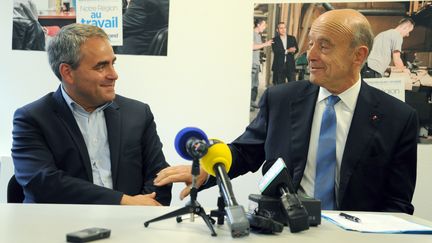 Pour la primaire à droite, Xavier Bertrand soutiendra Alain Juppé&nbsp; (FRANCOIS LO PRESTI / AFP)